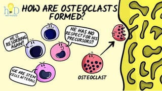 OSTEOCLAST FORMATION
 