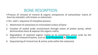BONE RESORPTION
Process of removal of mineral & organic components of extracellular matrix of
bone by osteolytic cells known as osteoclasts
Ten- cate’s sequence of resorptive process:
1. Attachment of osteoclasts to mineralized surface of bone
2. Creation of sealed acidic environment through action of proton pump, which
demineralizes bone & exposes the organic matrix
3. Degradation of exposed organic matrix to its constituent amino acids by the
action of released enzymes, such as Acid Phosphatase & Cathepsin
4. Sequestering of mineral ions & amino acids within the osteoclast
 