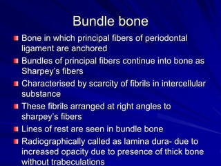 Bundle bone
Bone in which principal fibers of periodontal
ligament are anchored
Bundles of principal fibers continue into bone as
Sharpey’s fibers
Characterised by scarcity of fibrils in intercellular
substance
These fibrils arranged at right angles to
sharpey’s fibers
Lines of rest are seen in bundle bone
Radiographically called as lamina dura- due to
increased opacity due to presence of thick bone
without trabeculations
 