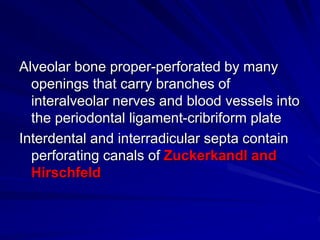 Alveolar bone proper-perforated by many
openings that carry branches of
interalveolar nerves and blood vessels into
the periodontal ligament-cribriform plate
Interdental and interradicular septa contain
perforating canals of Zuckerkandl and
Hirschfeld
 