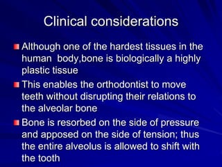 Clinical considerations
Although one of the hardest tissues in the
human body,bone is biologically a highly
plastic tissue
This enables the orthodontist to move
teeth without disrupting their relations to
the alveolar bone
Bone is resorbed on the side of pressure
and apposed on the side of tension; thus
the entire alveolus is allowed to shift with
the tooth
 