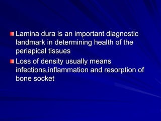 Lamina dura is an important diagnostic
landmark in determining health of the
periapical tissues
Loss of density usually means
infections,inflammation and resorption of
bone socket
 