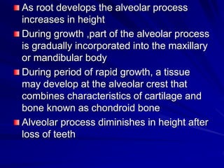 As root develops the alveolar process
increases in height
During growth ,part of the alveolar process
is gradually incorporated into the maxillary
or mandibular body
During period of rapid growth, a tissue
may develop at the alveolar crest that
combines characteristics of cartilage and
bone known as chondroid bone
Alveolar process diminishes in height after
loss of teeth
 