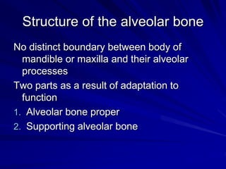 Structure of the alveolar bone
No distinct boundary between body of
mandible or maxilla and their alveolar
processes
Two parts as a result of adaptation to
function
1. Alveolar bone proper
2. Supporting alveolar bone
 