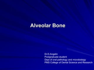 Alveolar Bone
Dr.D.Angelin
Postgraduate student
Dept of oral pathology and microbiology
PMS College of Dental Science and Research
 