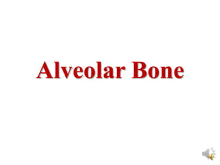 Alveolar Bone
 