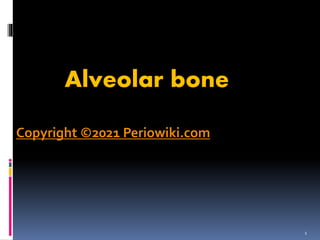 Alveolar bone
Copyright ©2021 Periowiki.com
1
 