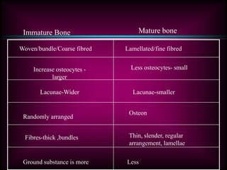Immature Bone Mature bone
Woven/bundle/Coarse fibred Lamellated/fine fibred
Increase osteocytes -
larger
Less osteocytes- small
Lacunae-Wider Lacunae-smaller
Randomly arranged
Osteon
Fibres-thick ,bundles Thin, slender, regular
arrangement, lamellae
Ground substance is more Less
 