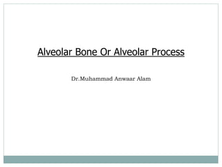 Alveolar Bone Or Alveolar Process
Dr.Muhammad Anwaar Alam
 