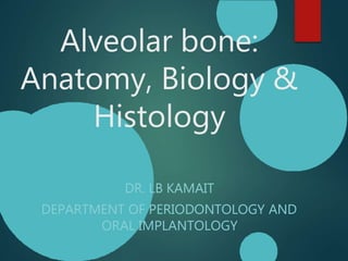Alveolar bone:
Anatomy, Biology &
Histology
DR. LB KAMAIT
DEPARTMENT OF PERIODONTOLOGY AND
ORAL IMPLANTOLOGY
 