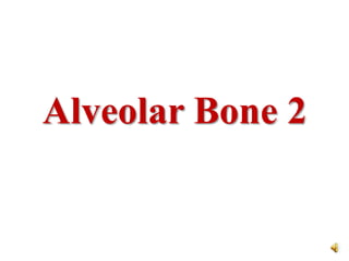 Alveolar Bone 2
 