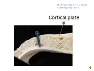 Alveolar bone 2 | PPTX