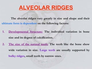 Define Alveolar Ridge Alveolar Bone and prosthodontics relevance | PPT