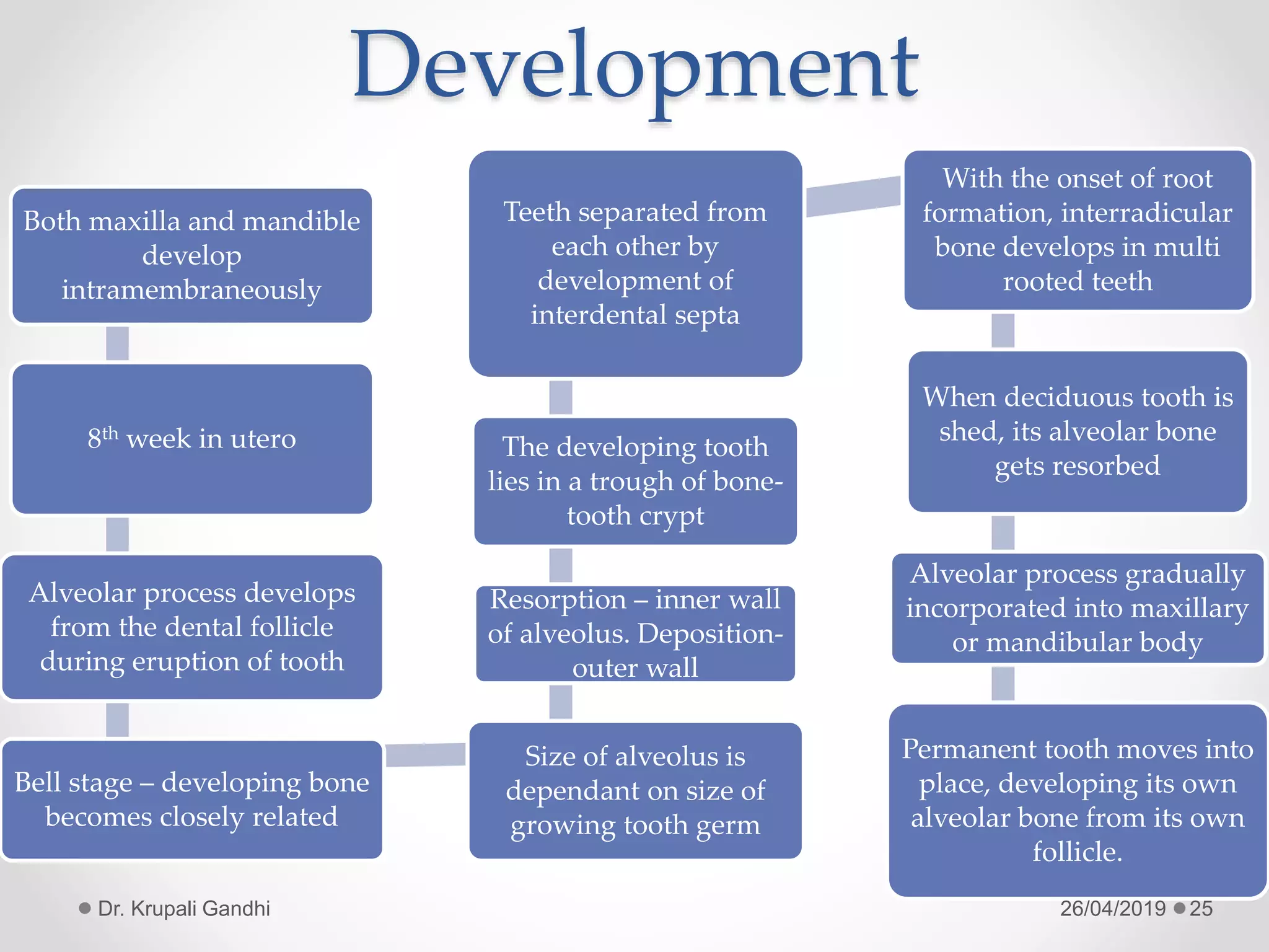 Alveolar bone in health | PPTX