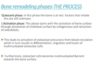 ALVEOLAR BONE IN HEALTH AND DISEASE [Autosaved].ppt