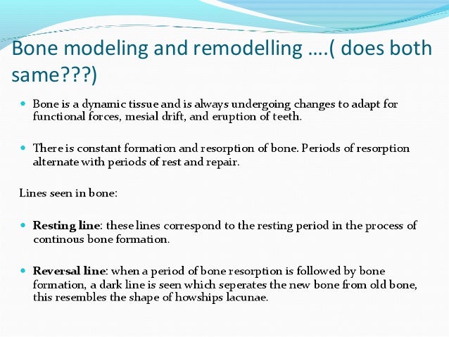 bone modelling and remodelling pdf