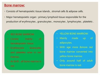 ALVEOLAR BONE IN STATE OF FLUX.pptx