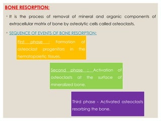 PRESENTATION OF ALVEOLAR BONE IN STATE OF FLUX.pptx