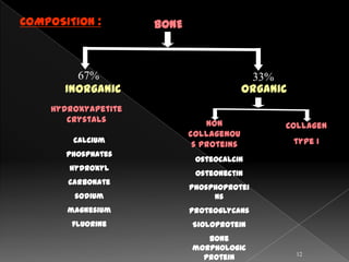 COMPOSITION :        BONE



         67%                               33%
       Inorganic                          Organic
    Hydroxyapetite
       crystals                 Non             Collagen
                            collagenou
        calcium                                     type I
                             s proteins
       phosphates
                             Osteocalcin
       hydroxyl
                             Osteonectin
       carbonate
                            Phosphoprotei
        sodium                   ns
       magnesium            proteoglycans
        fluorine            Sioloprotein
                               Bone
                            morphologic
                                                    12
                              protein
 