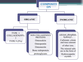 COMPOSITI
ON
ORGANIC
TYPE 1
COLLAGEN(95%
)
TYPE 5 (5%)
NON COLLAGENOUS
PROTEINS
Osteocalcin
Osteopontin
Osteonectin
Bone sialoprotein
proteoglycans
INORGANIC
calcium, phosphate,
hydroxyl ,
Carbonate ,citrate
and trace amount
of other ions.
The mineral salts
are in the form of
Hydroxyapatite
crystals.
 