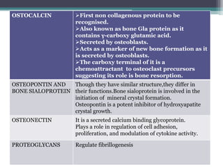 OSTOCALCIN First non collagenous protein to be
recognised.
Also known as bone Gla protein as it
contains γ-carboxy glutamic acid.
Secreted by osteoblasts.
Acts as a marker of new bone formation as it
is secreted by osteoblasts.
The carboxy terminal of it is a
chemoattractant to osteoclast precursors
suggesting its role is bone resorption.
OSTEOPONTIN AND
BONE SIALOPROTEIN
Though they have similar structure,they differ in
their functions.Bone sialoprotein is involved in the
initiation of mineral crystal formation.
Osteopontin is a potent inhibitor of hydroxyapatite
crystal growth.
OSTEONECTIN It is a secreted calcium binding glycoprotein.
Plays a role in regulation of cell adhesion,
proliferation, and modulation of cytokine activity.
PROTEOGLYCANS Regulate fibrillogenesis
 