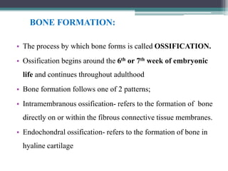 BONE FORMATION:
• The process by which bone forms is called OSSIFICATION.
• Ossification begins around the 6th or 7th week of embryonic
life and continues throughout adulthood
• Bone formation follows one of 2 patterns;
• Intramembranous ossification- refers to the formation of bone
directly on or within the fibrous connective tissue membranes.
• Endochondral ossification- refers to the formation of bone in
hyaline cartilage
 