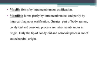 • Maxilla forms by intramembranous ossification.
• Mandible forms partly by intramembranous and partly by
intra-cartilaginous ossification. Greater part of body, ramus,
condyloid and coronoid process are intra-membranous in
origin. Only the tip of condyloid and coronoid process are of
endochondral origin.
 