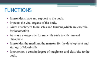 FUNCTIONS
• It provides shape and support to the body.
• Protects the vital organs of the body.
• Gives attachment to muscles and tendons,which are essential
for locomotion.
• Acts as a storage site for minerals such as calcium and
phosphate.
• It provides the medium, the marrow for the development and
storage of blood cells.
• It possesses a certain degree of toughness and elasticity to the
body.
 