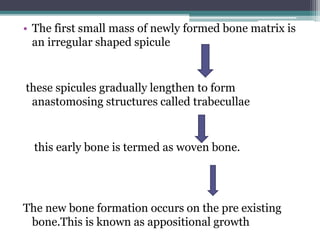 • The first small mass of newly formed bone matrix is
an irregular shaped spicule
these spicules gradually lengthen to form
anastomosing structures called trabecullae
this early bone is termed as woven bone.
The new bone formation occurs on the pre existing
bone.This is known as appositional growth
 