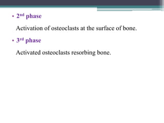 • 2nd phase
Activation of osteoclasts at the surface of bone.
• 3rd phase
Activated osteoclasts resorbing bone.
 