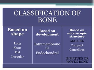 CLASSIFICATION OF
BONE
Based on
shape
Long
Short
Flat
Irregular
Based on
development
Intramembrano
us
Endochondral
Based on
microscopic
structure
MATURE
Compact
Cancellous
IMMATURE OR
WOVEN BONE
 