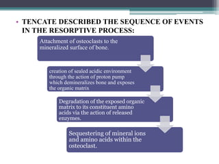 • TENCATE DESCRIBED THE SEQUENCE OF EVENTS
IN THE RESORPTIVE PROCESS:
Attachment of osteoclasts to the
mineralized surface of bone.
creation of sealed acidic environment
through the action of proton pump
which demineralizes bone and exposes
the organic matrix
Degradation of the exposed organic
matrix to its constituent amino
acids via the action of released
enzymes.
Sequestering of mineral ions
and amino acids within the
osteoclast.
 