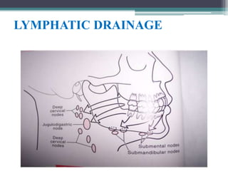 LYMPHATIC DRAINAGE
 