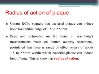 Radius of action of plaque
■ Garant &Cho suggest that bacterial plaque can induce
bone loss within range of 1.5 to 2.5 mm.
■ Page and Schroeder on the basis of waerhaug’s
measurements made on human autopsy specimens,
postulated that there is range of effectiveness of about
1.5 to 2.5mm within which bacterial plaque can induce
loss of bone. This is known as radius of action.
 