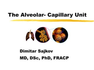 The Alveolar- Capillary Unit Dimitar Sajkov MD, DSc, PhD, FRACP 