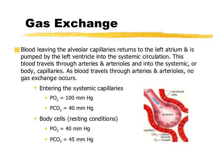 difference between replacement and exchange