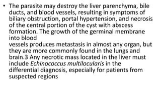 • The parasite may destroy the liver parenchyma, bile
ducts, and blood vessels, resulting in symptoms of
biliary obstruction, portal hypertension, and necrosis
of the central portion of the cyst with abscess
formation. The growth of the germinal membrane
into blood
vessels produces metastasis in almost any organ, but
they are more commonly found in the lungs and
brain.3 Any necrotic mass located in the liver must
include Echinococcus multilocularis in the
differential diagnosis, especially for patients from
suspected regions
 