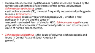 • Human echinococcosis (hydatidosis or hydatid disease) is caused by the
larval stages of cestodes (tapeworms) of the genus Echinococcus.
Echinococcus granulosus causes
cystic echinococcosis (CE), the most frequently encountered pathogen in
humans. Echinococcus
multilocularis causes alveolar echinococcosis (AE), which is a rare
pathogen in humans and the cause of
a more disseminated form of alveolar HCD. Echinococcus vogeli causes
polycystic echinococcosis. Echinococcus oligarthrus is an extremely rare
cause of human echinococcosis.
• Echinococcus oligarthrus is the cause of polycystic echinococcosis and
found in Central Asia and South America. In
general,
 