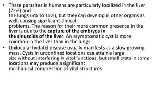 • These parasites in humans are particularly localized in the liver
(75%) and
the lungs (5% to 15%), but they can develop in other organs as
well, causing significant clinical
problems. The reason for their more common presence in the
liver is due to the capture of the embryos in
the sinusoids of the liver. An asymptomatic cyst is more
common in the liver than in the lungs.
• Unilocular hydatid disease usually manifests as a slow growing
mass. Cysts in unconfined locations can attain a large
size without interfering in vital functions, but small cysts in some
locations may produce a significant
mechanical compression of vital structures
 