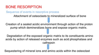 Alveolar bone ppt dental periodontic topic by channu m g 2k18 | PPTX