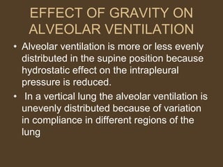 EFFECT OF GRAVITY ON
ALVEOLAR VENTILATION
• Alveolar ventilation is more or less evenly
distributed in the supine position because
hydrostatic effect on the intrapleural
pressure is reduced.
• In a vertical lung the alveolar ventilation is
unevenly distributed because of variation
in compliance in different regions of the
lung
 