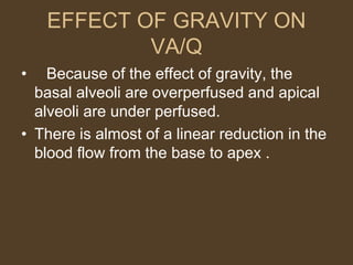 EFFECT OF GRAVITY ON
VA/Q
• Because of the effect of gravity, the
basal alveoli are overperfused and apical
alveoli are under perfused.
• There is almost of a linear reduction in the
blood flow from the base to apex .
 