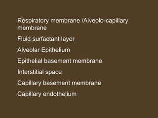 Respiratory membrane /Alveolo-capillary
membrane
Fluid surfactant layer
Alveolar Epithelium
Epithelial basement membrane
Interstitial space
Capillary basement membrane
Capillary endothelium
 