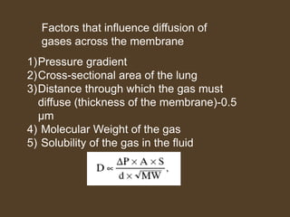1)Pressure gradient
2)Cross-sectional area of the lung
3)Distance through which the gas must
diffuse (thickness of the membrane)-0.5
µm
4) Molecular Weight of the gas
5) Solubility of the gas in the fluid
Factors that influence diffusion of
gases across the membrane
 