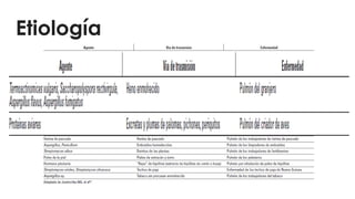 Etiología
 