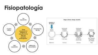 1ra
exposición
Presentación
del Ag
Infiltración
leucocitaria
2da
exposición
Cuadro
clínico
Fisiopatología
“Gran
exposición al
antígeno la
mayoría de los
días por
periodos
prolongados”
 