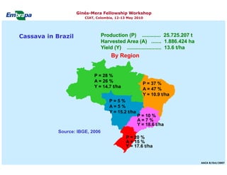 Current status and utilization of cassava wild Ginés-Mera Fellowship Workshop CIAT, Colombia, 12-13 May 2010 germplasm at Embrapa Cassava & Tropical Fruits