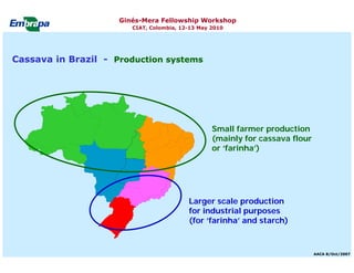 Current status and utilization of cassava wild Ginés-Mera Fellowship Workshop CIAT, Colombia, 12-13 May 2010 germplasm at Embrapa Cassava & Tropical Fruits