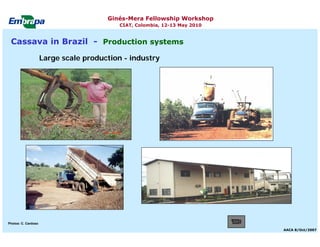 Current status and utilization of cassava wild Ginés-Mera Fellowship Workshop CIAT, Colombia, 12-13 May 2010 germplasm at Embrapa Cassava & Tropical Fruits