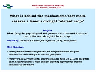 Current status and utilization of cassava wild Ginés-Mera Fellowship Workshop CIAT, Colombia, 12-13 May 2010 germplasm at Embrapa Cassava & Tropical Fruits